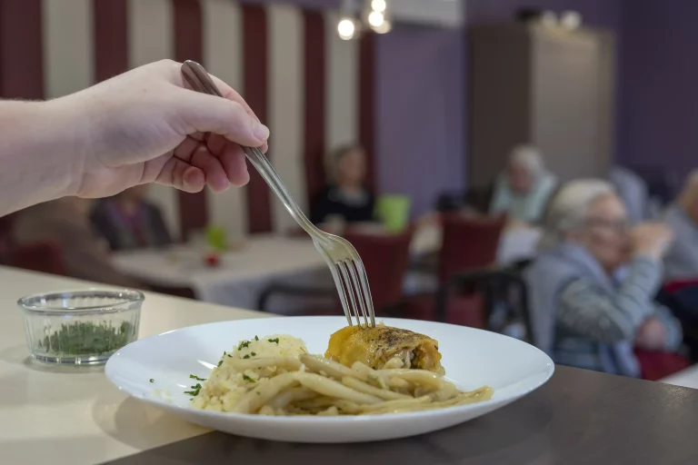 Maison de retraite médicalisée EHPAD Résidence Les Jardins des Tilleuls à Trizay