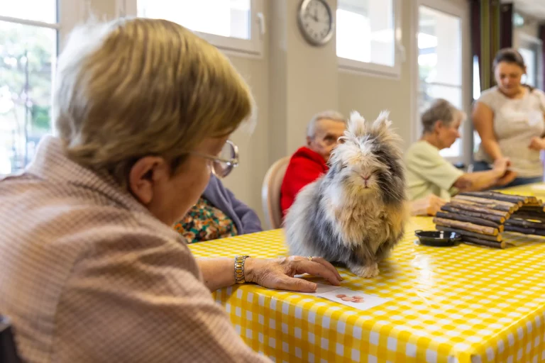 Maison de retraite médicalisée EHPAD Résidence Les Iris à Givrand
