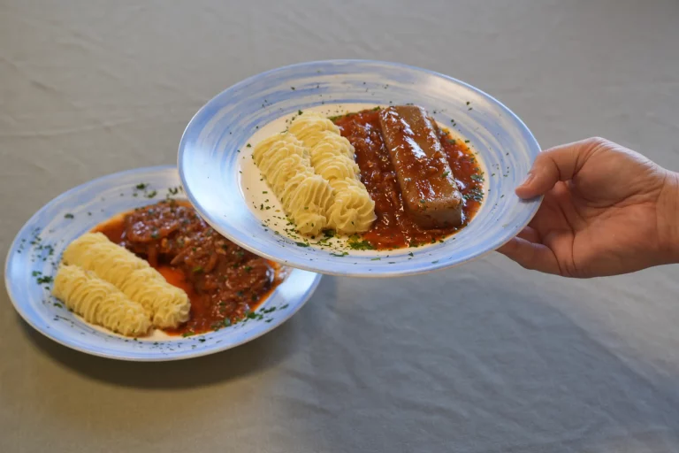 Maison de retraite médicalisée EHPAD Résidence du Lac à Ubaye Serre-Ponçon