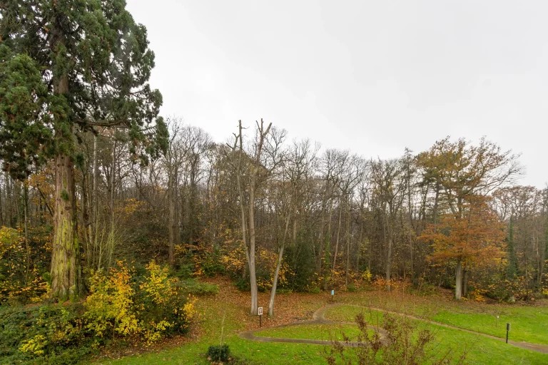 Maison de retraite médicalisée EHPAD Résidence Le Mesnil à Bouffémont