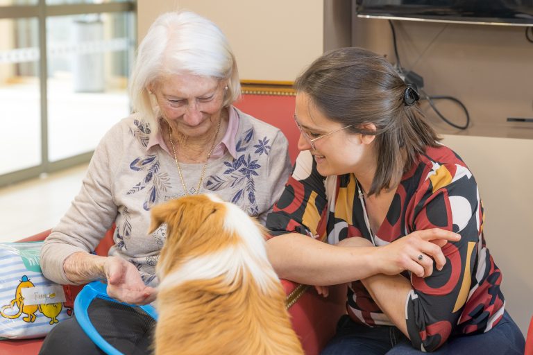 Maison de retraite médicalisée EHPAD Résidence Les Pâtureaux à Courtenay