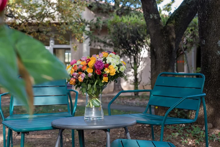 Maison de retraite médicalisée EHPAD Résidence de La Tour à La Baume-de-Transit