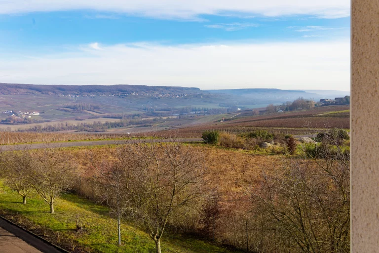 Maison de retraite médicalisée EHPAD Résidence Les Vignes à Œuilly