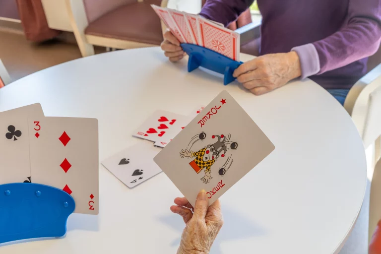 Activité - Residence les Cédres - Plailly