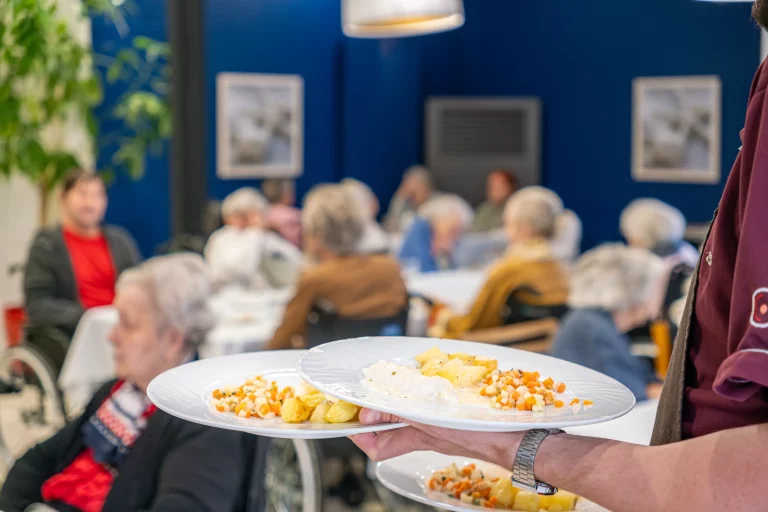 Maison de retraite médicalisée EHPAD Résidence Les Ormes à Pornic