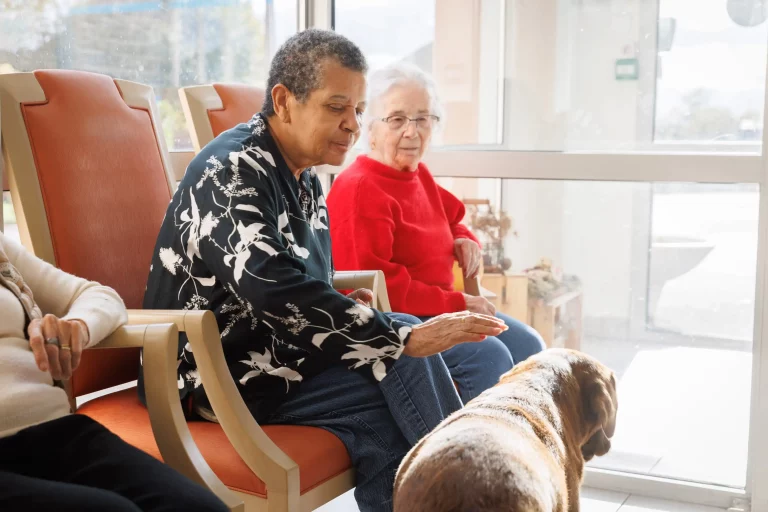 Maison de retraite médicalisée EHPAD Les Jardins de Vendat à Vendat