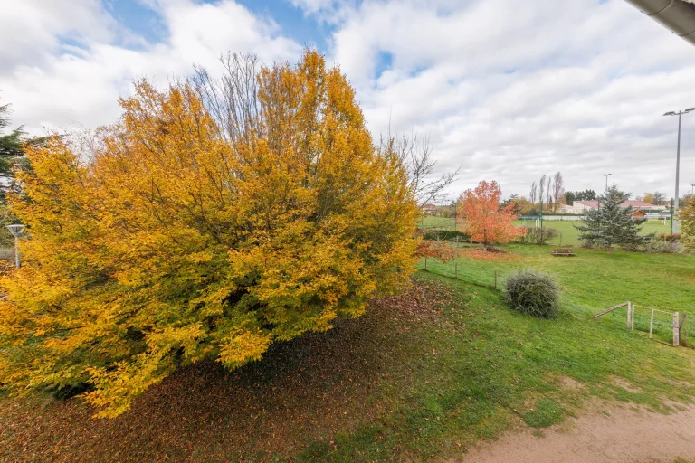 Maison de retraite médicalisée EHPAD Les Jardins de Vendat à Vendat