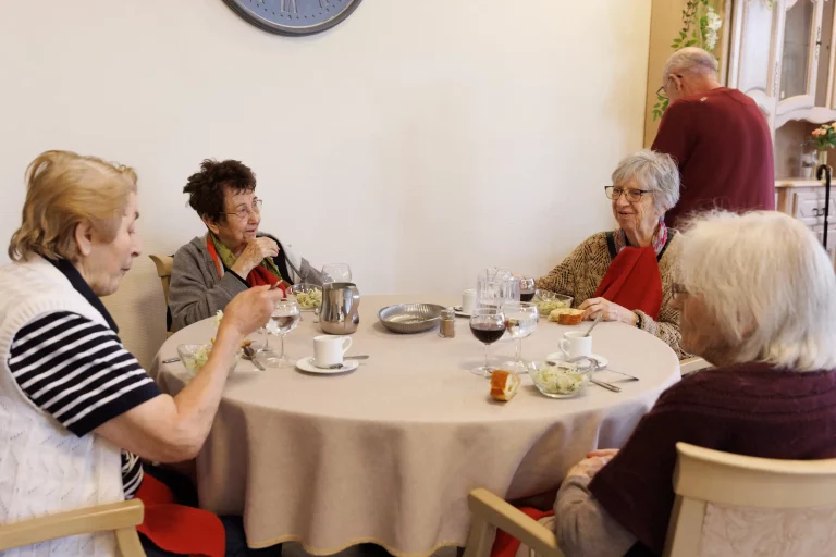 Maison de retraite médicalisée EHPAD Les Jardins de Vendat à Vendat