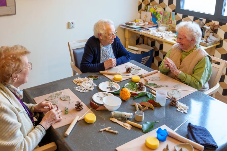 Maison de retraite médicalisée EHPAD Le Parc du Château à Vendeuvre-sur-Barse